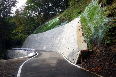 緑の森の中のセンターラインのない道路の右側の崖が擁壁で補強されています。